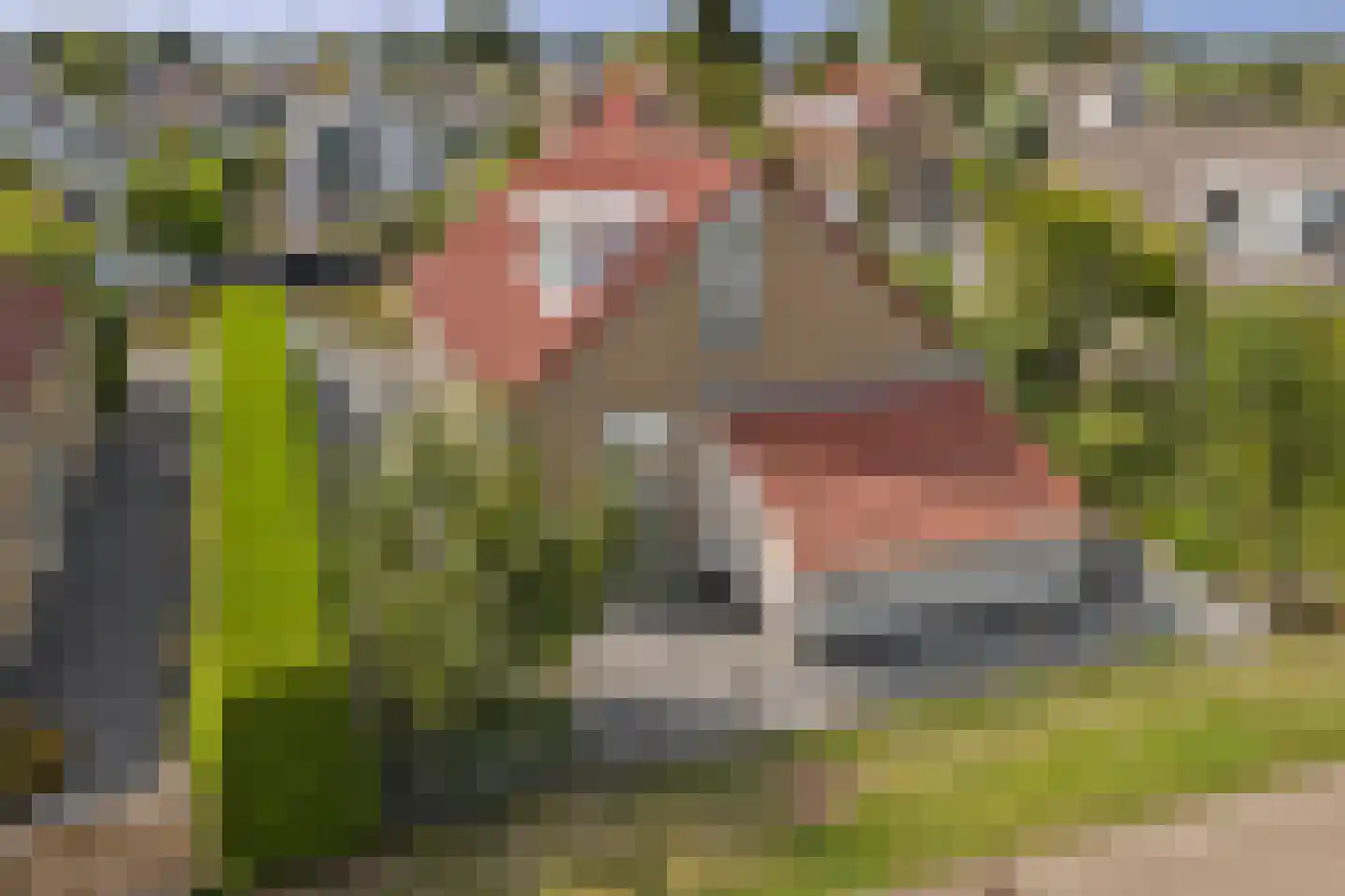 Markant 81 Balk thumbnail 37