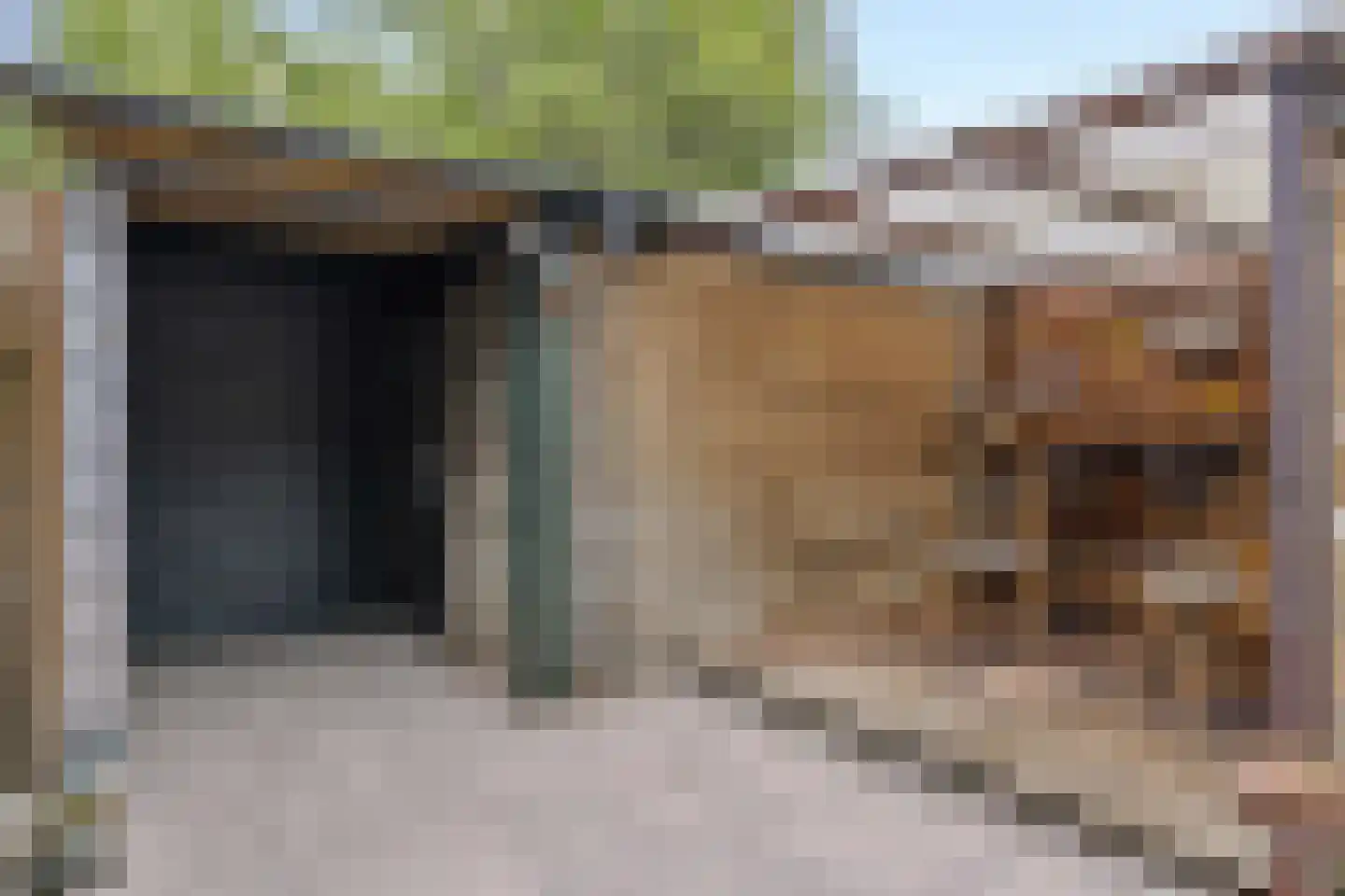 Markborch 3 Rosmalen thumbnail 20
