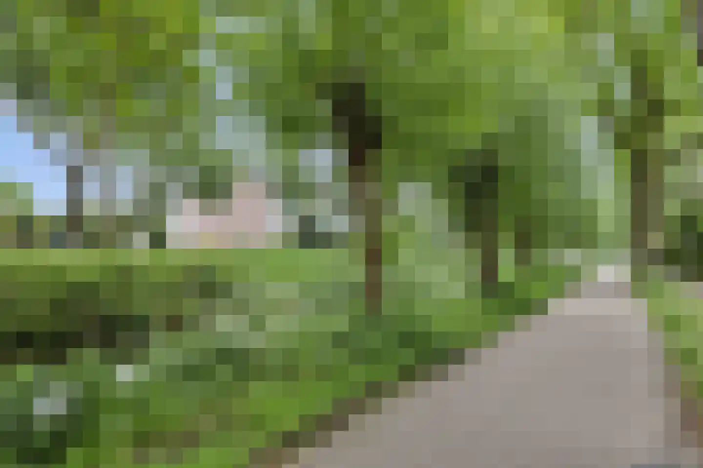 Markborch 3 Rosmalen thumbnail 22