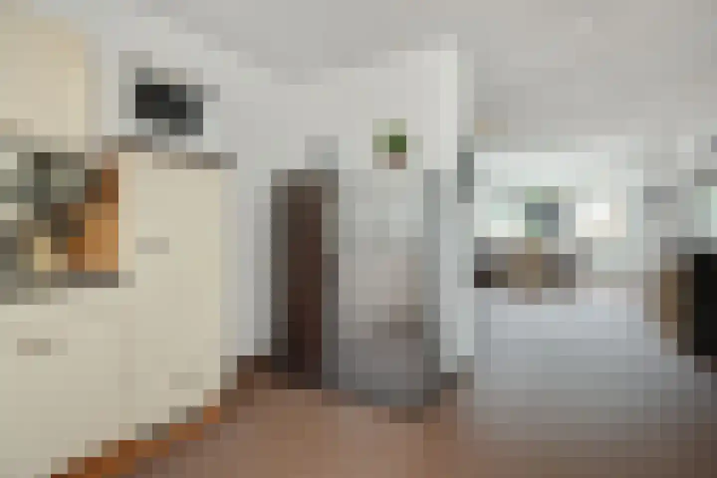 Markborch 3 Rosmalen thumbnail 9