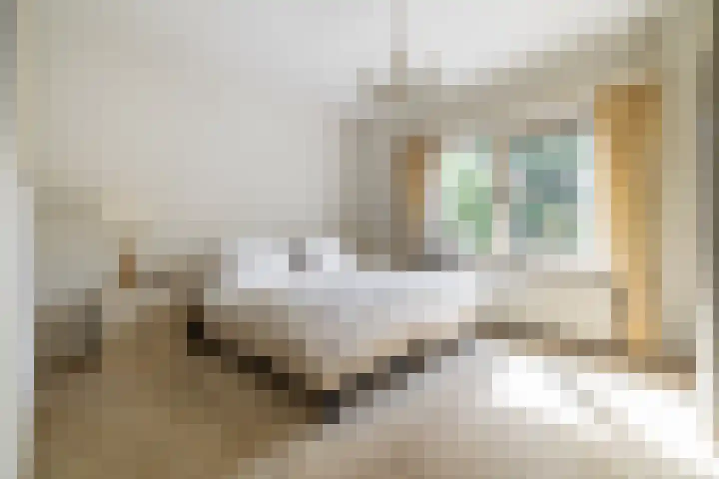 Markdal 21 Ulvenhout thumbnail 19