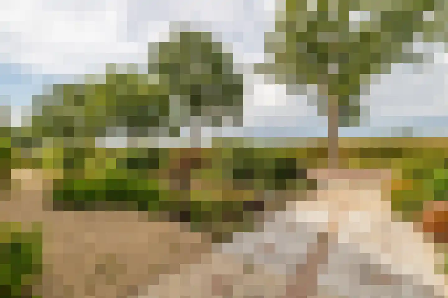 Markdal 21 Ulvenhout thumbnail 27