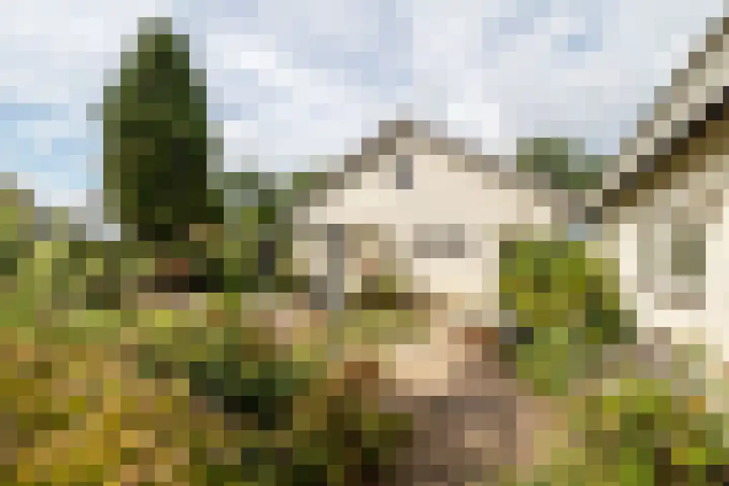 Markdal 21 Ulvenhout thumbnail 29