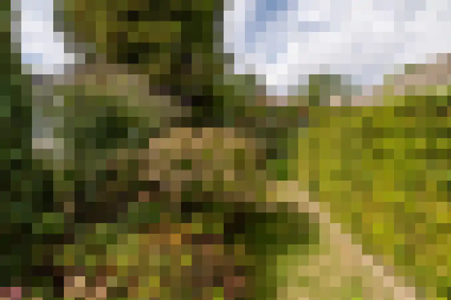 Markdal 21 Ulvenhout thumbnail 31