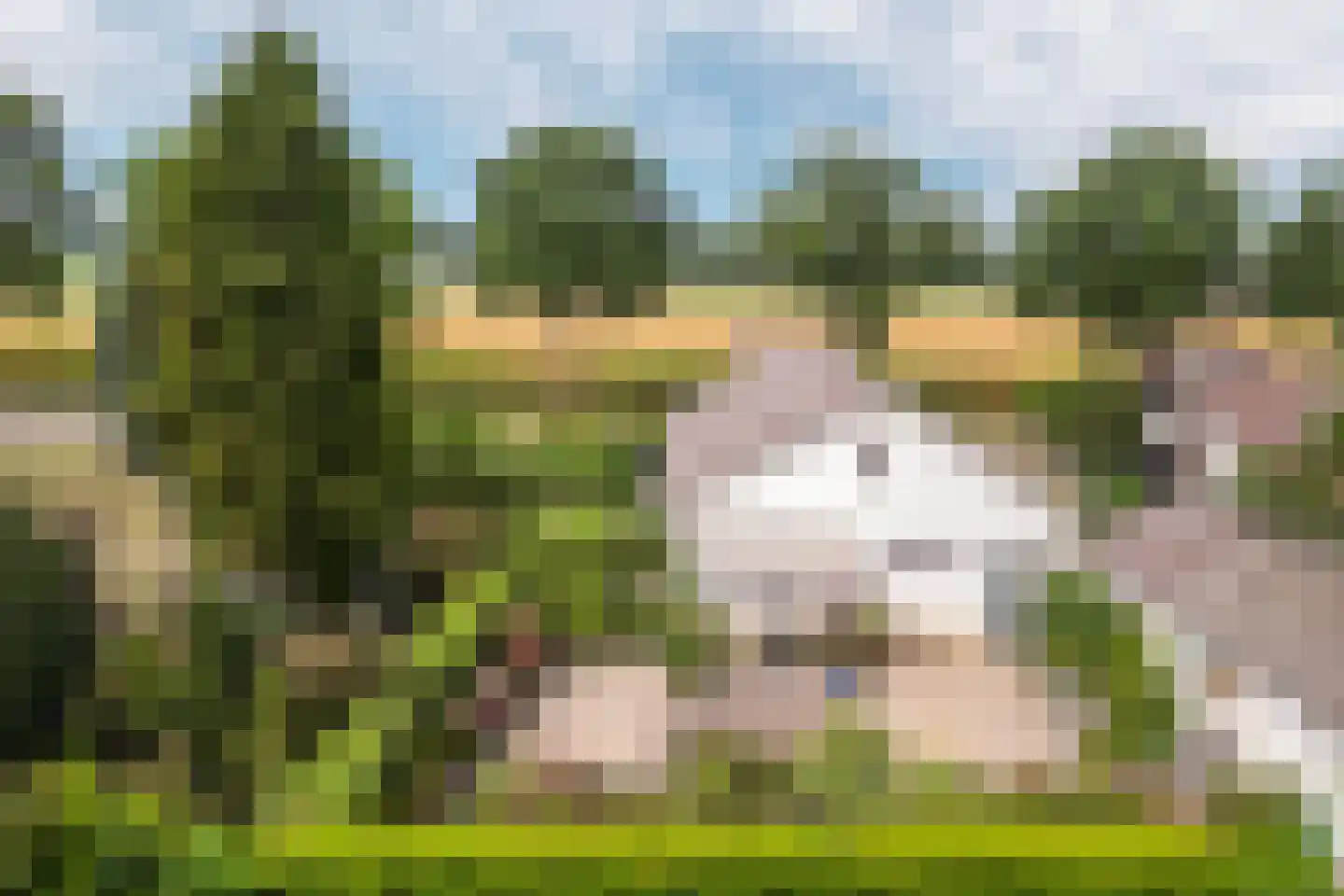 Markdal 21 Ulvenhout thumbnail 5