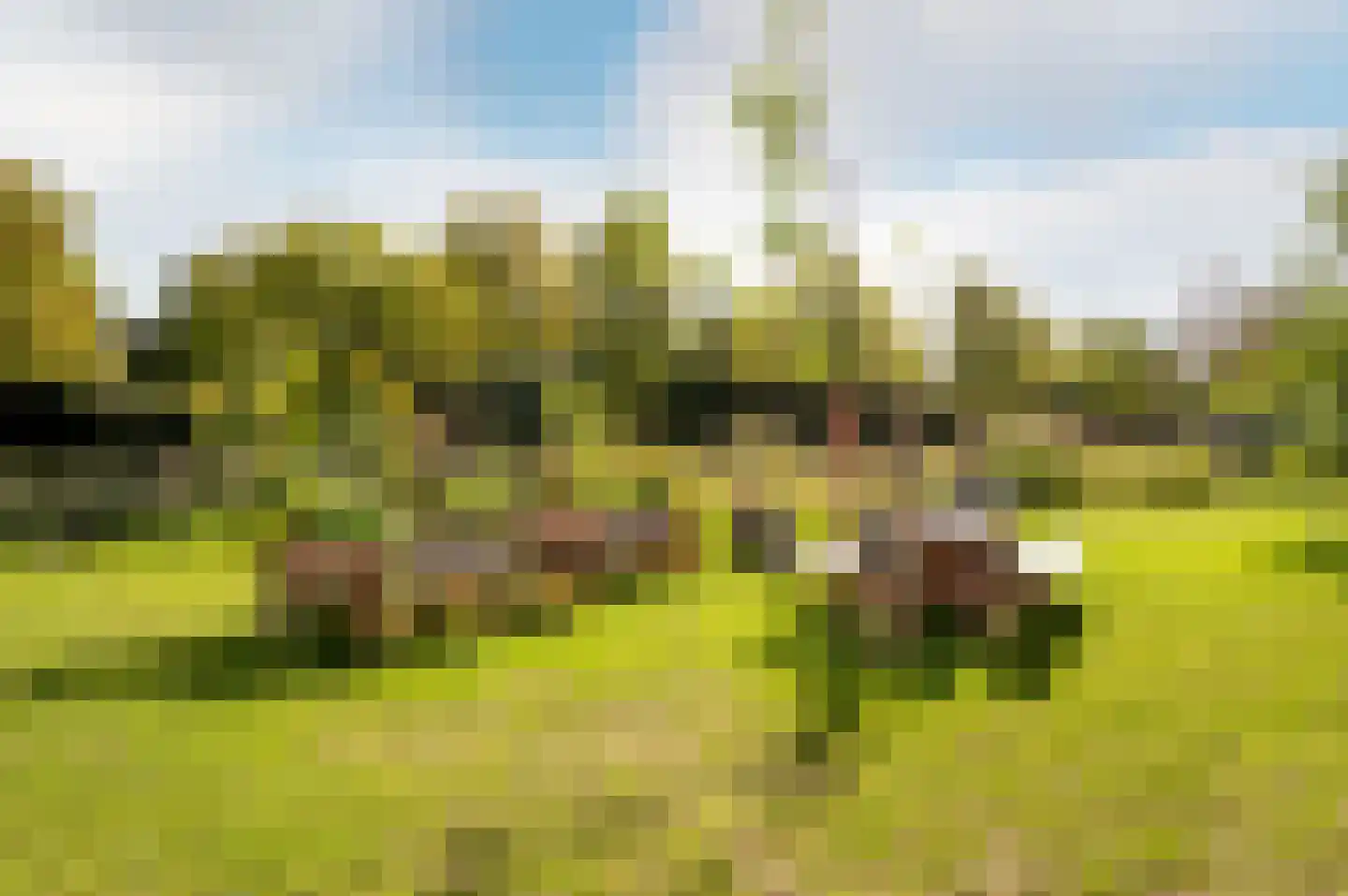 Marke 108 Lelystad thumbnail 56