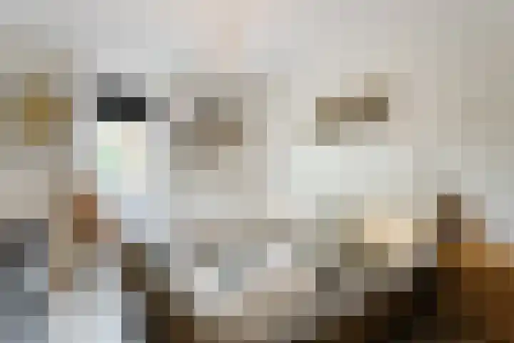 Marke 14 Lelystad thumbnail 19