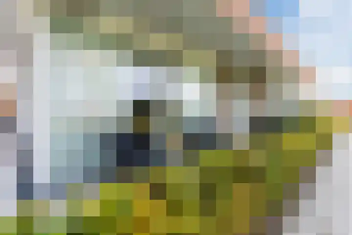Marke 14 Lelystad thumbnail 28