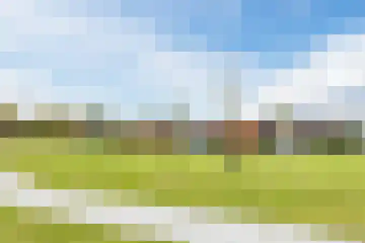 Marke 14 Lelystad thumbnail 31