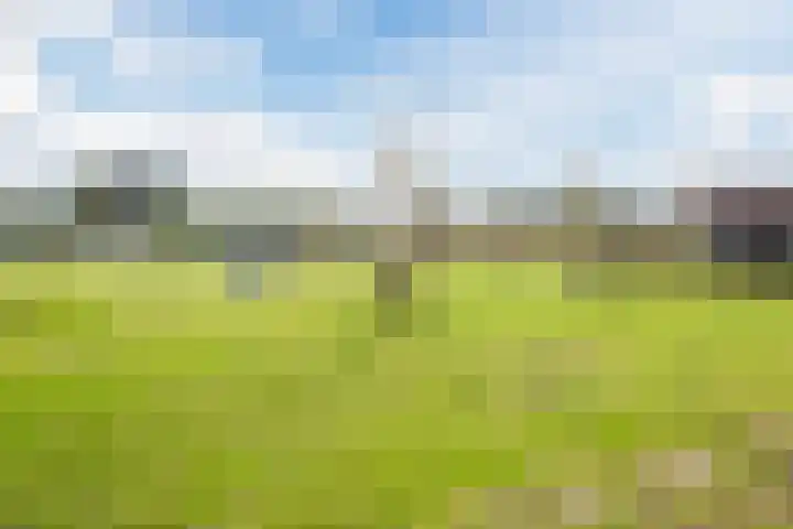 Marke 14 Lelystad thumbnail 32
