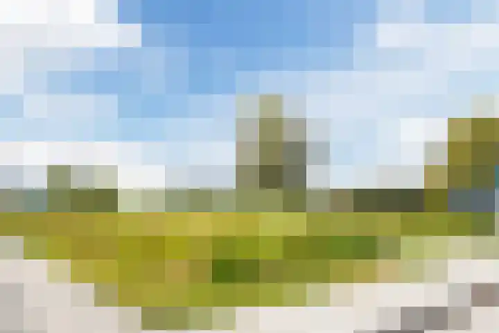 Marke 14 Lelystad thumbnail 33