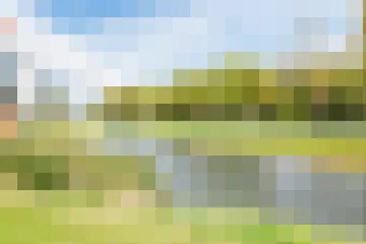 Marke 14 Lelystad thumbnail 34