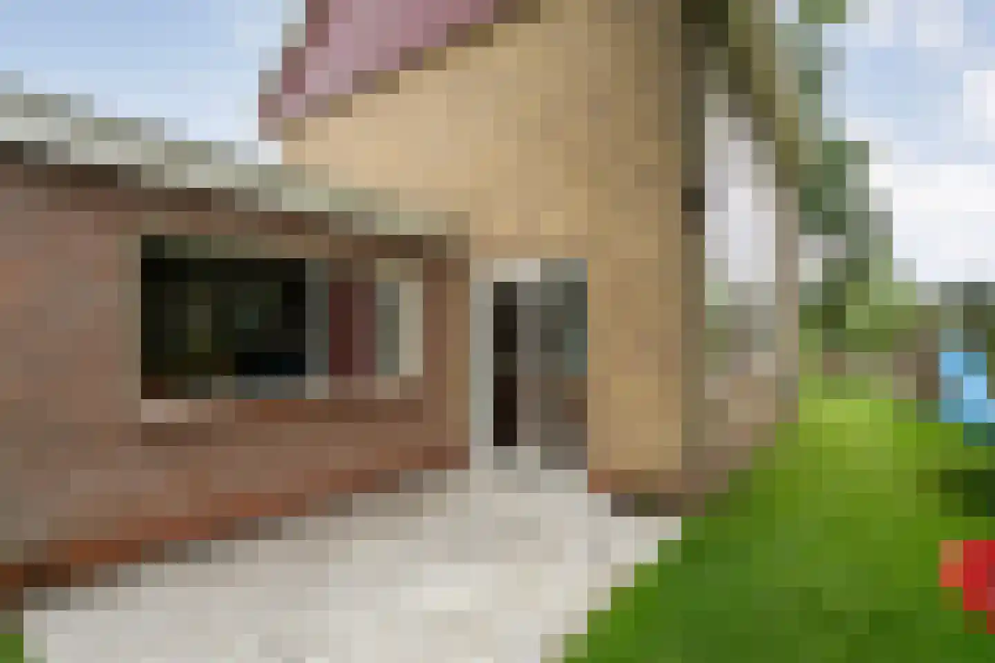 Marke 7 Diever thumbnail 12