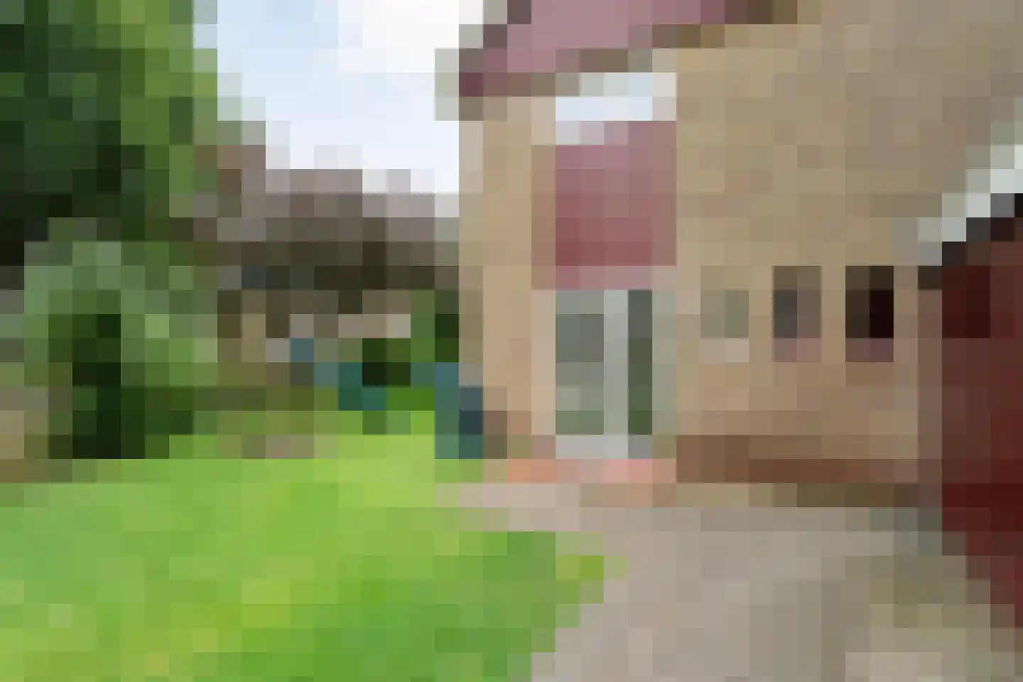 Marke 7 Diever thumbnail 15