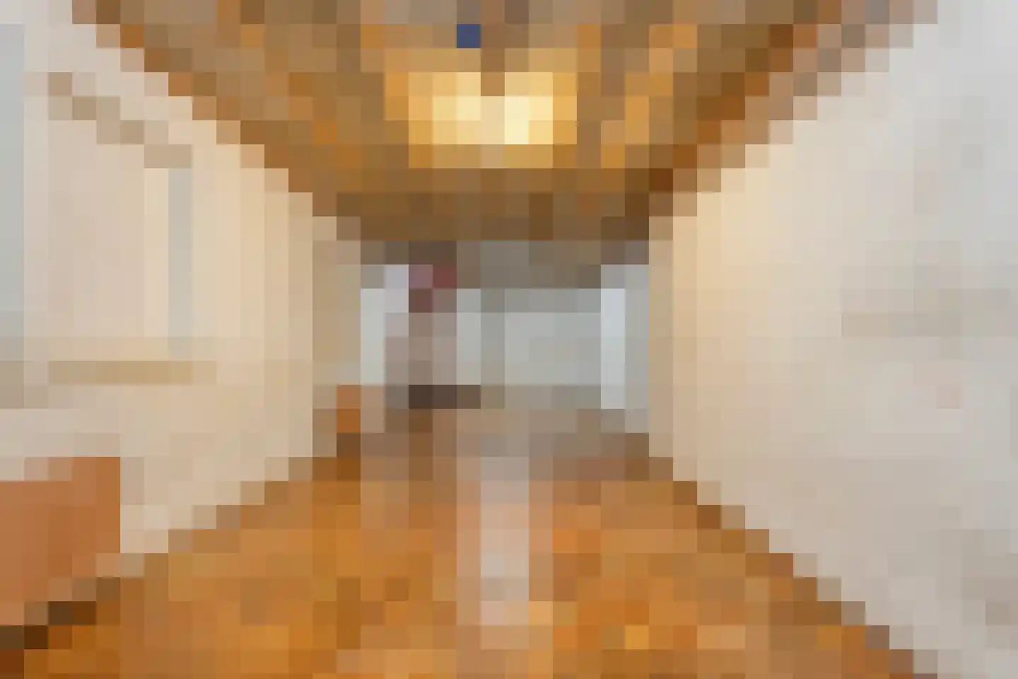 Marke 7 Diever thumbnail 33