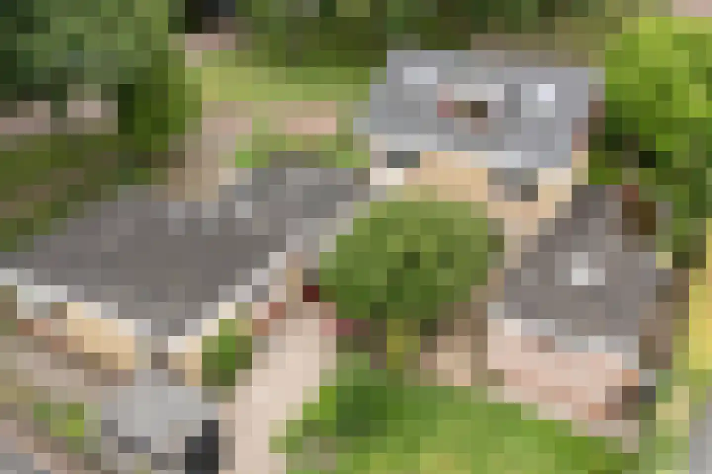 Marke 7 Diever thumbnail 4