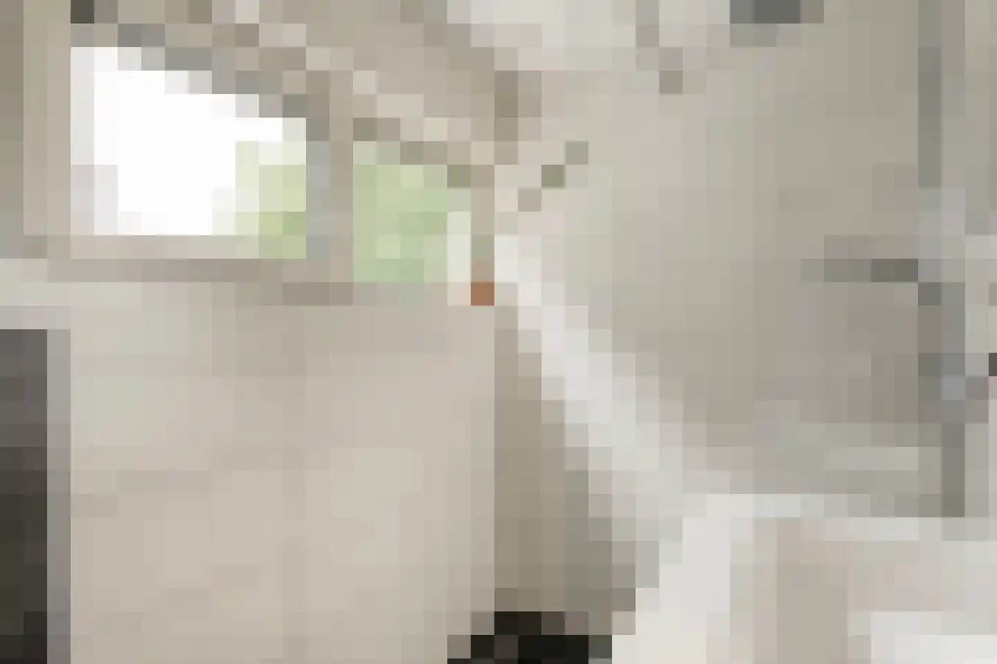 Marke 7 Diever thumbnail 41