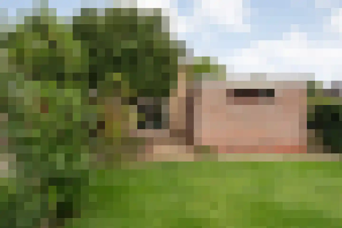 Marke 7 Diever thumbnail 49