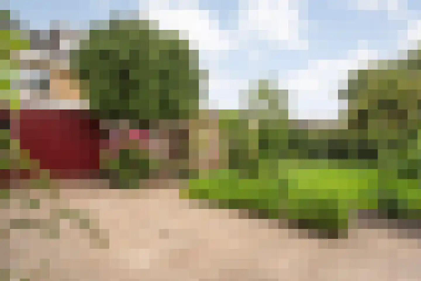 Marke 7 Diever thumbnail 50