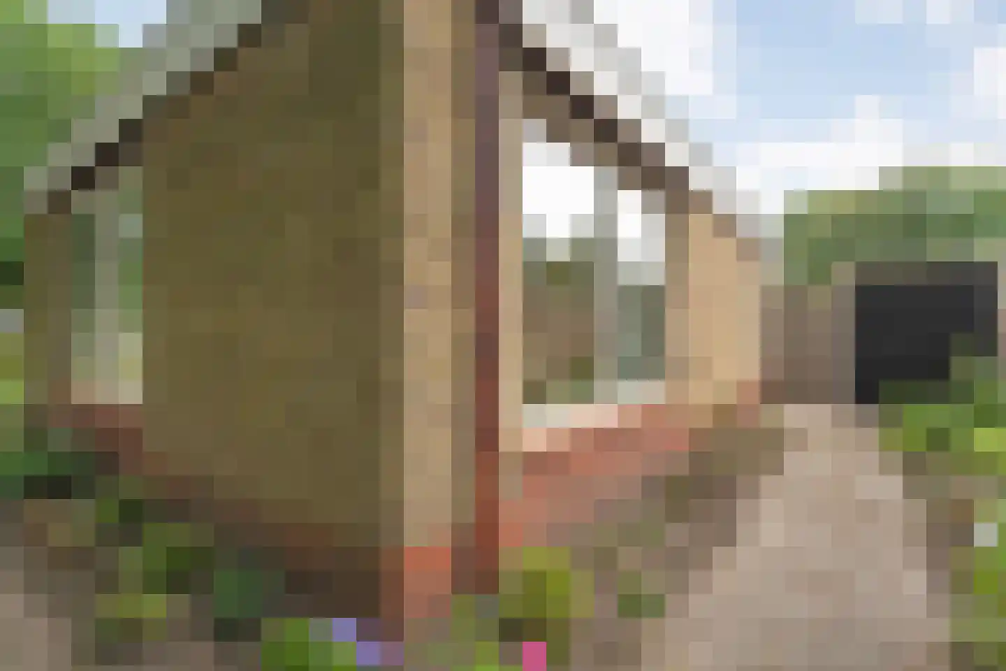 Marke 7 Diever thumbnail 54