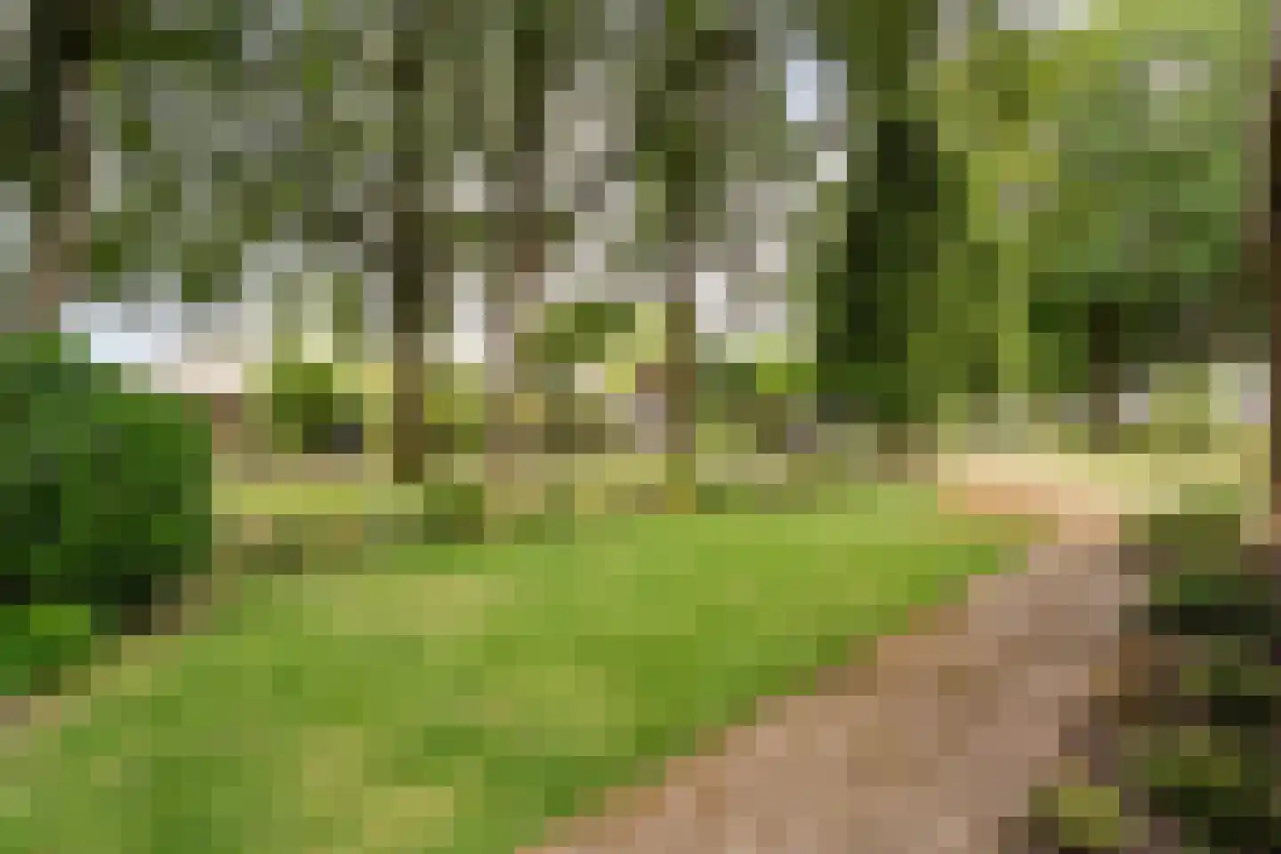 Marke 7 Diever thumbnail 55