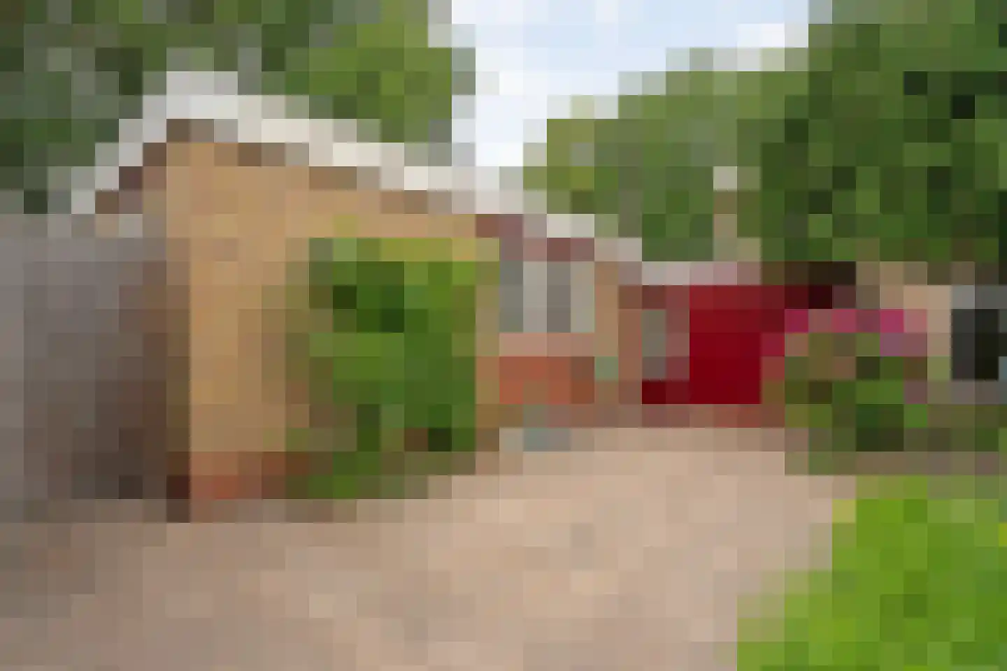 Marke 7 Diever thumbnail 56