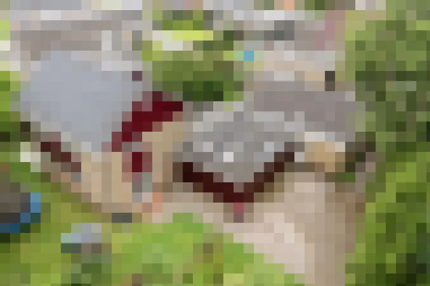 Marke 7 Diever thumbnail 6