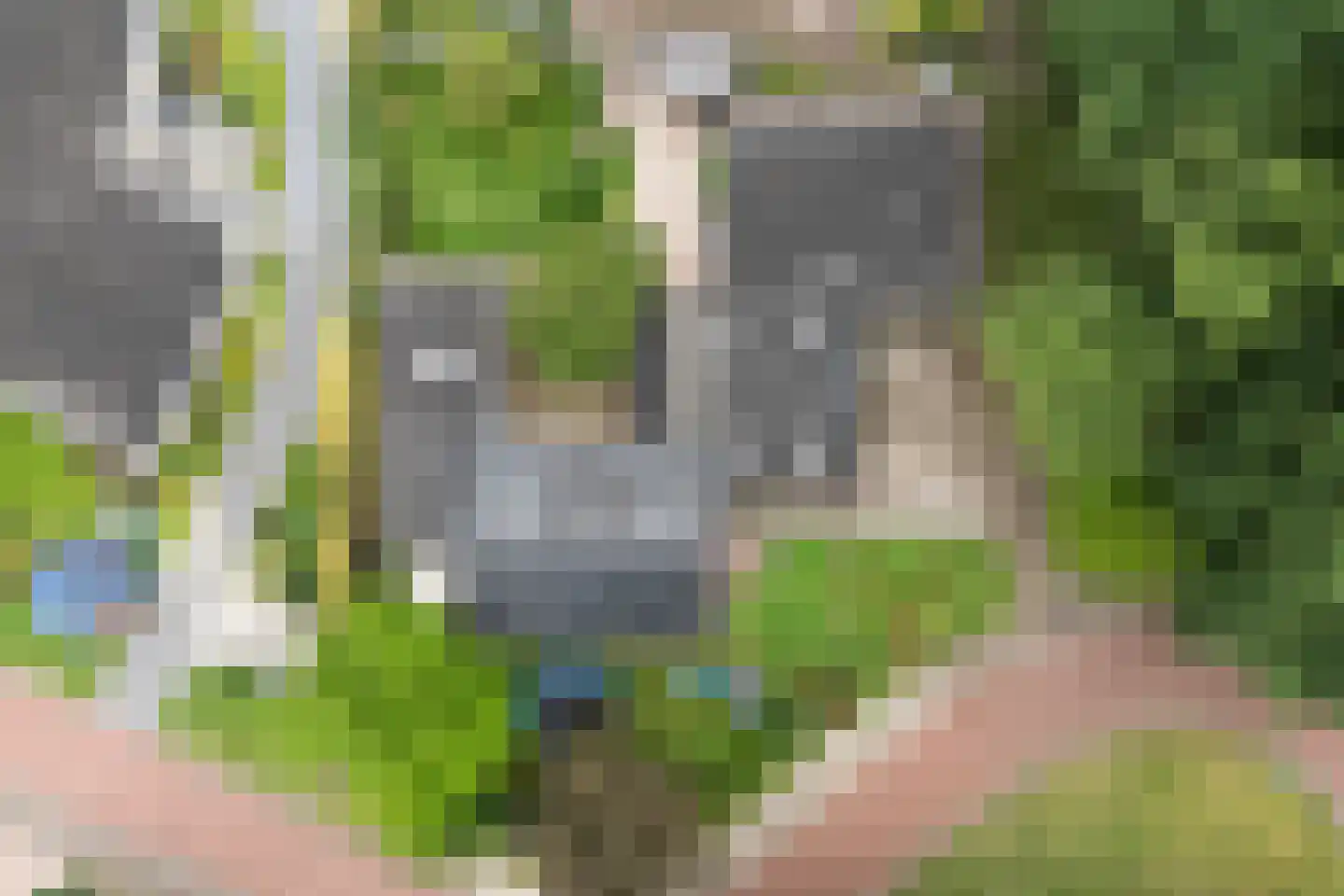 Marke 7 Diever thumbnail 7
