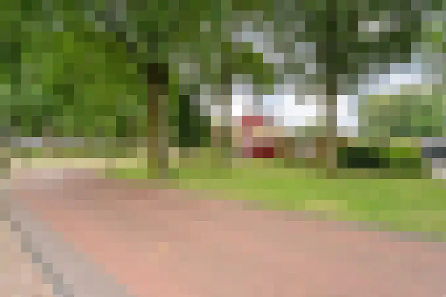Marke 7 Diever thumbnail 9