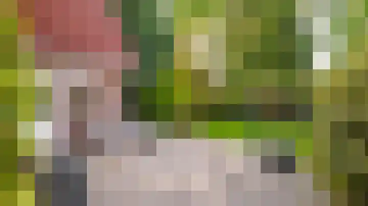 Marke Dulder 5 Almelo thumbnail 33