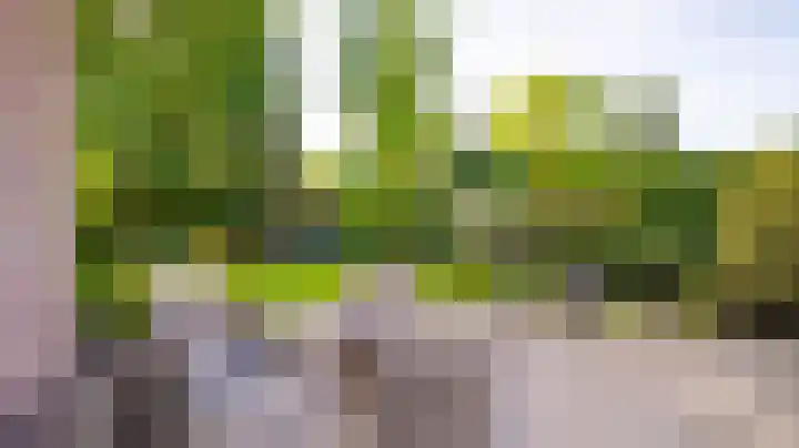 Marke Dulder 5 Almelo thumbnail 34
