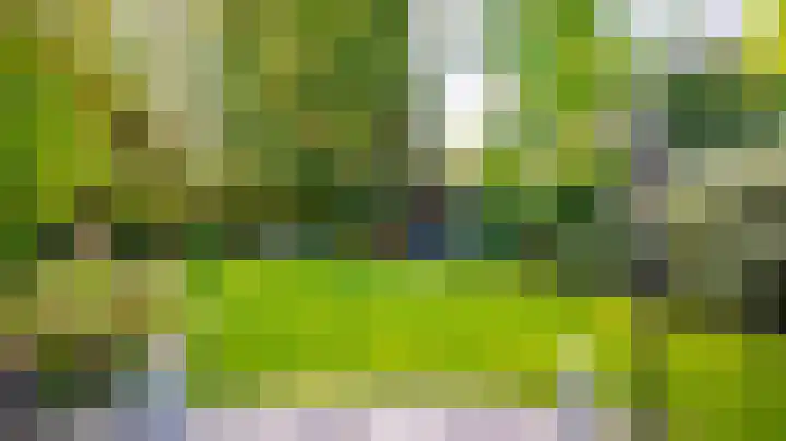 Marke Dulder 5 Almelo thumbnail 35