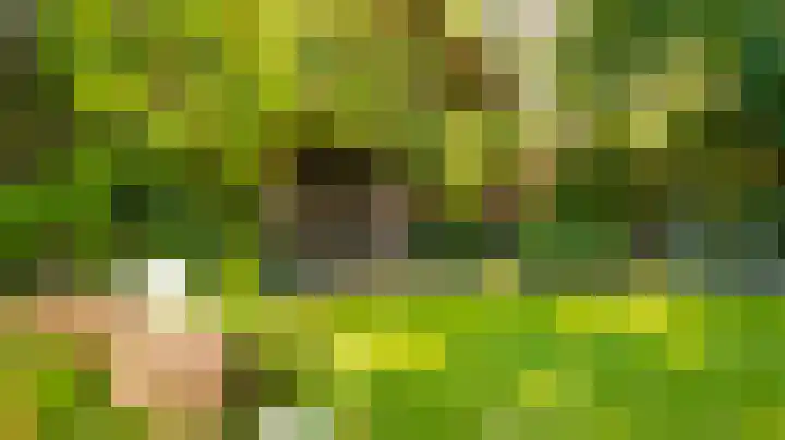 Marke Dulder 5 Almelo thumbnail 36