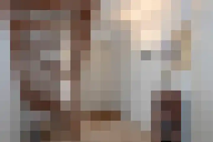 Marke Elsen 8 Almelo thumbnail 17