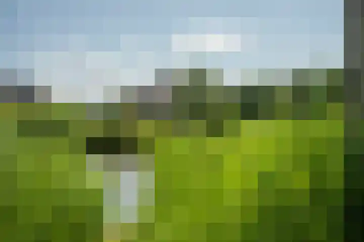 Marke Elsen 8 Almelo thumbnail 36
