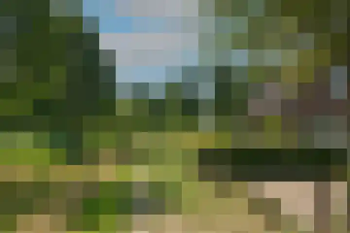 Marke Elsen 8 Almelo thumbnail 37