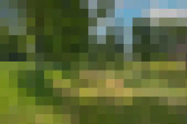 Marke Elsen 8 Almelo thumbnail 38