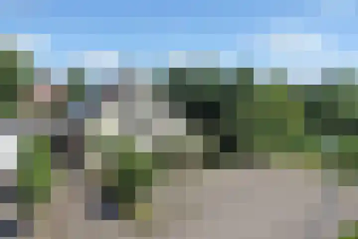 Marke Elsen 8 Almelo thumbnail 39