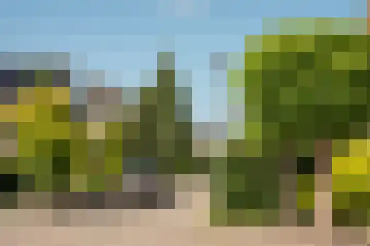 Marke Elsen 8 Almelo thumbnail 40