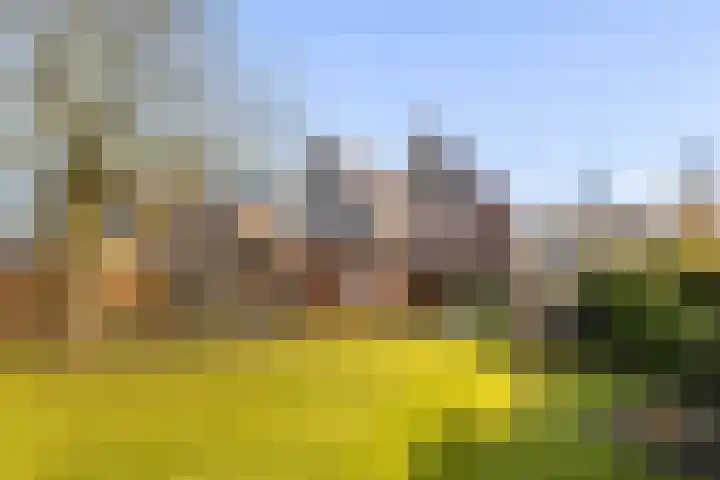 Marke Mander 11 Almelo thumbnail 23