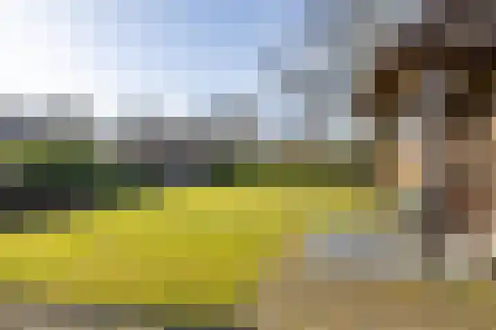 Marke Mander 11 Almelo thumbnail 24