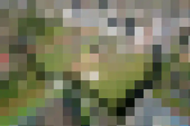Marke Mander 11 Almelo thumbnail 30