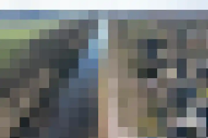 Marke Mander 11 Almelo thumbnail 32