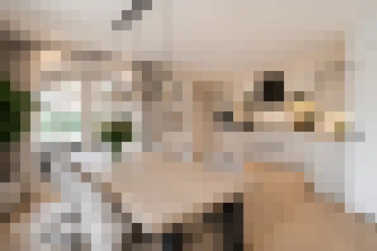 Marke Mander 11 Almelo thumbnail 6