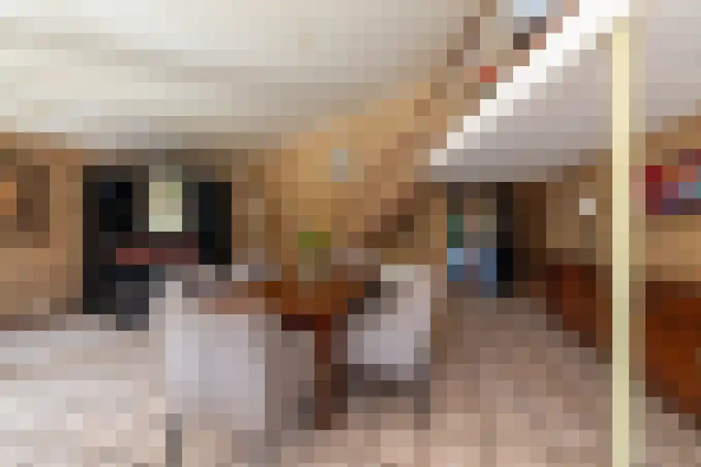 Marke Volthe 12 Almelo thumbnail 13