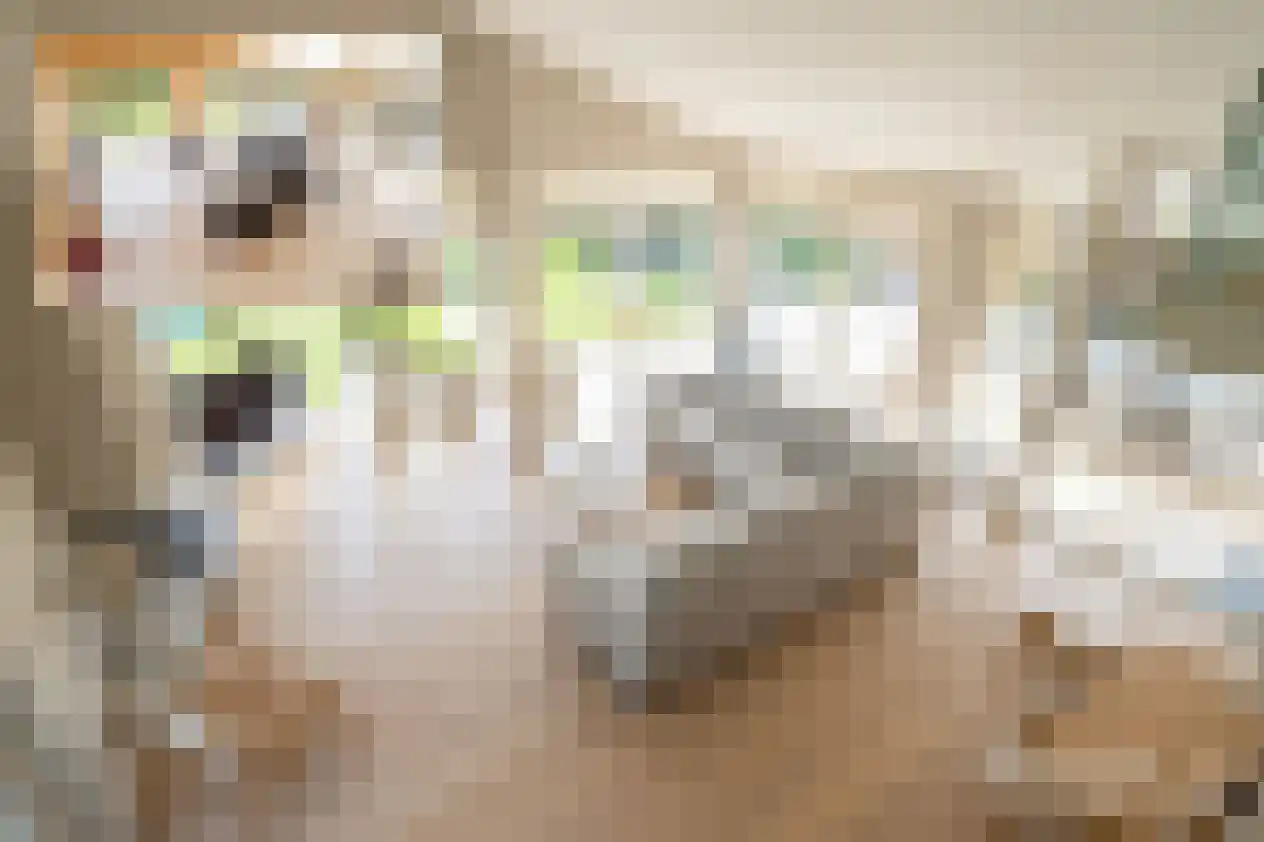 Marke Volthe 12 Almelo thumbnail 15
