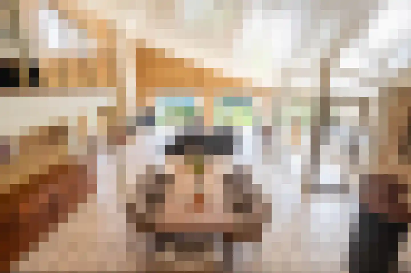 Marke Volthe 12 Almelo thumbnail 17