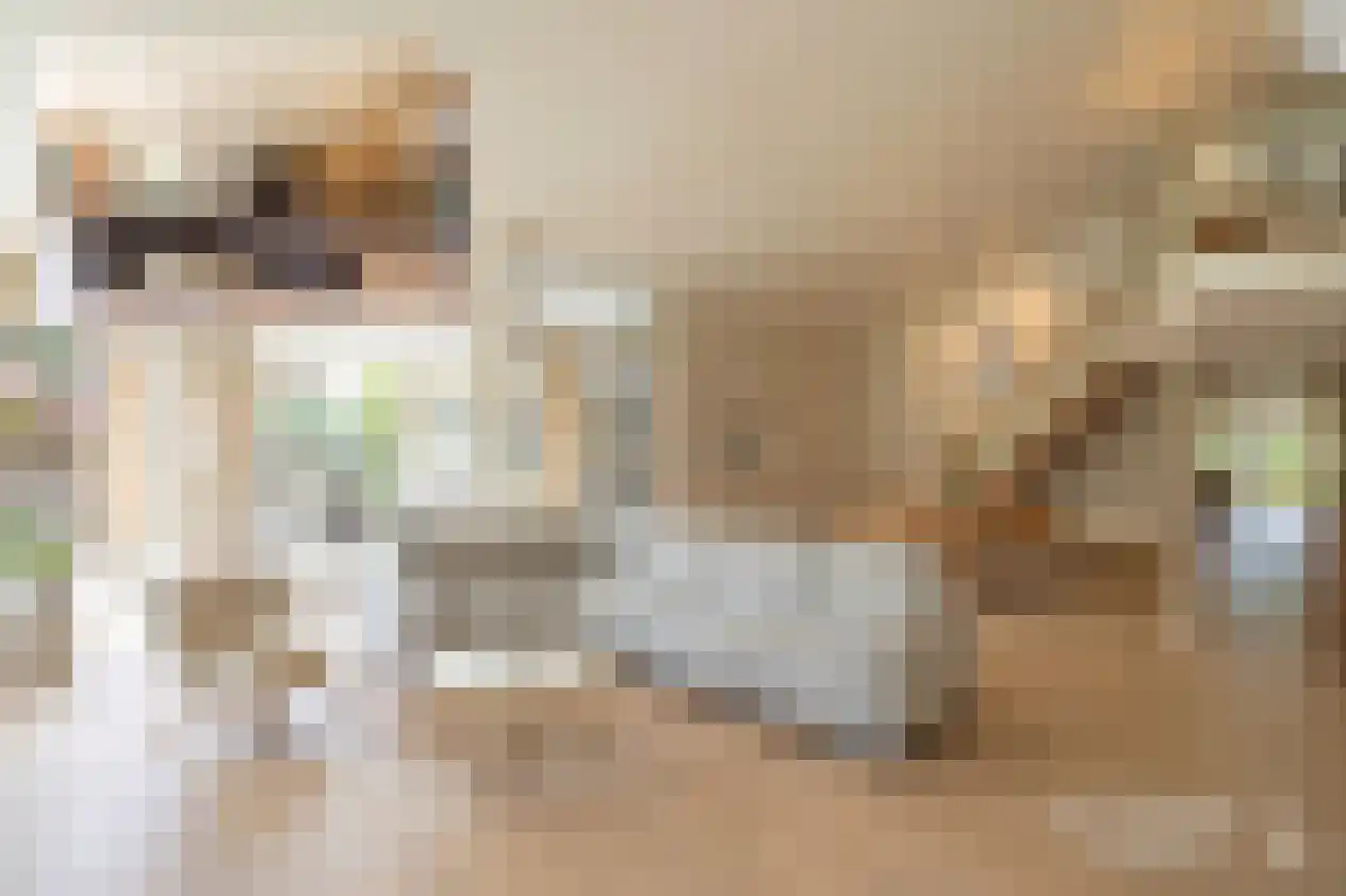 Marke Volthe 12 Almelo thumbnail 7