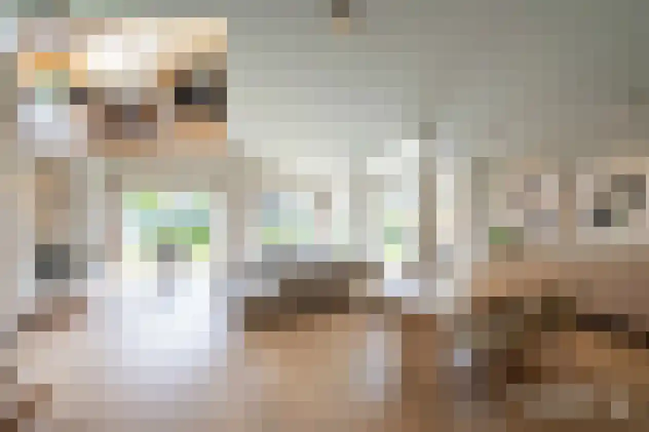 Marke Volthe 12 Almelo thumbnail 9