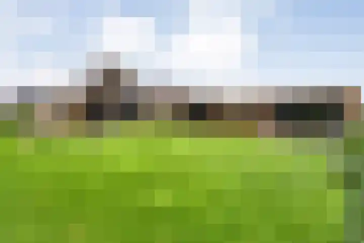 Markeboek 1 Ommen thumbnail 103